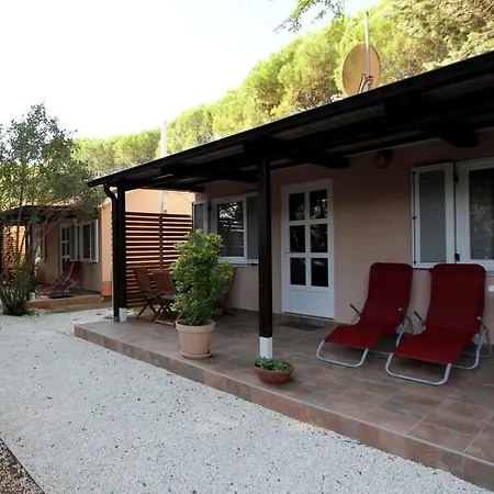 Comfort 100 M From The Camping