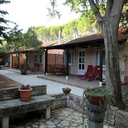 Comfort 100 M From The Premantura