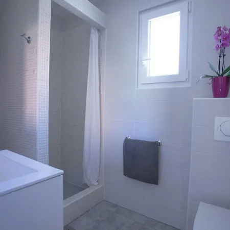 캠프장 Comfort 100 M From The *