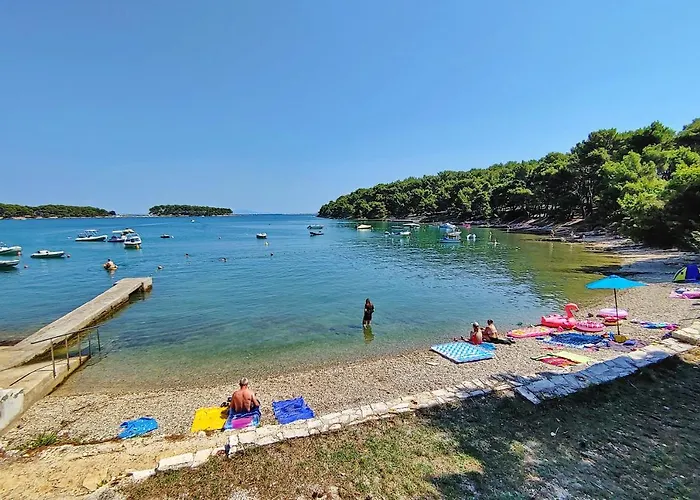 Comfort 100 M From The Premantura