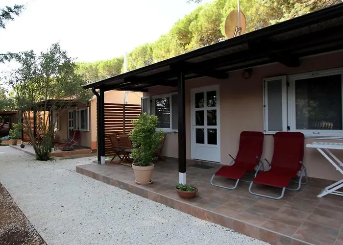 Comfort 100 M From The Camping