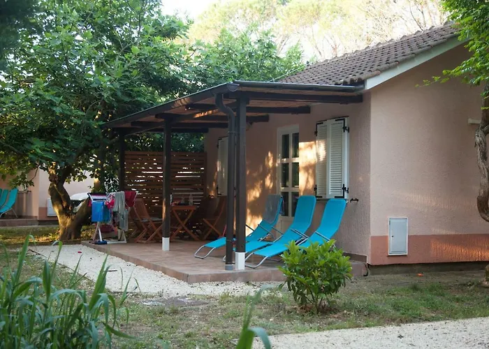 Camping Comfort 100 M From The