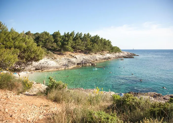 Camping Comfort 100 M From The *